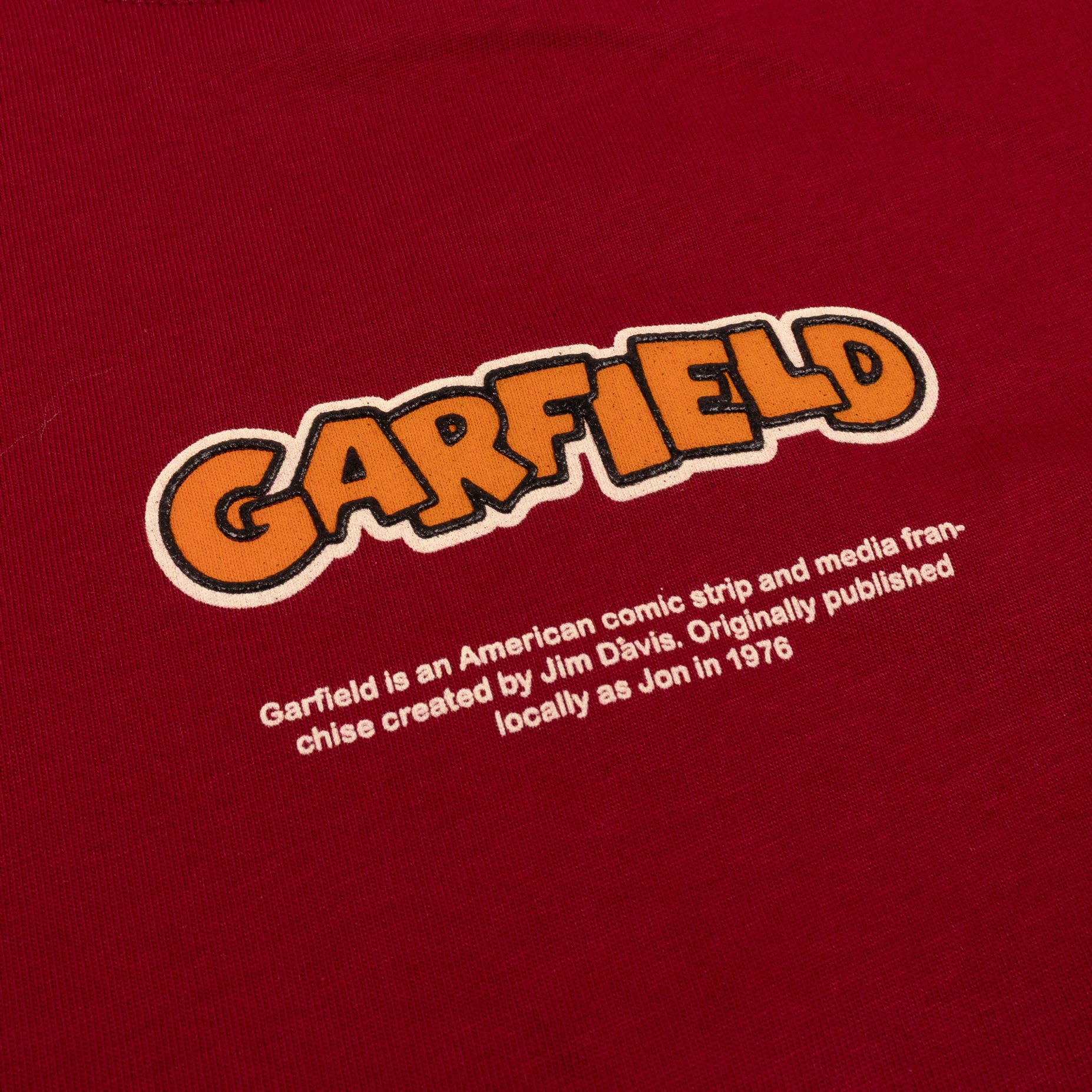 Camiseta niño Garfield