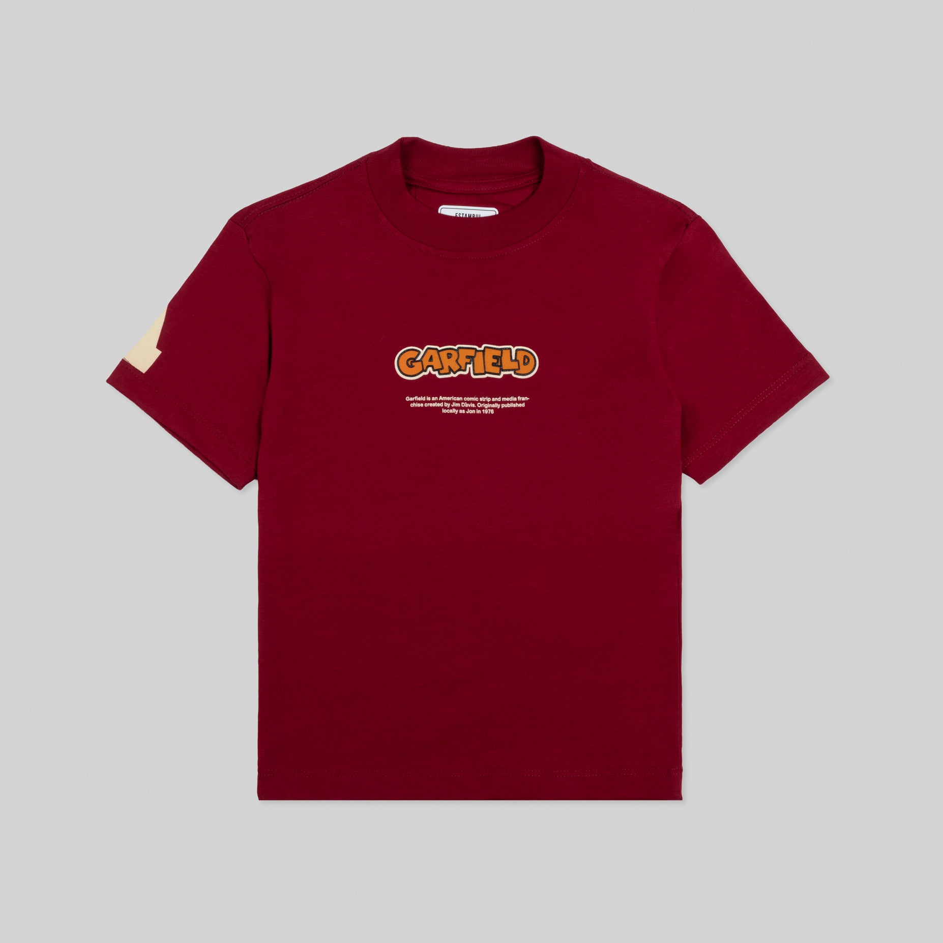 Camiseta niño Garfield