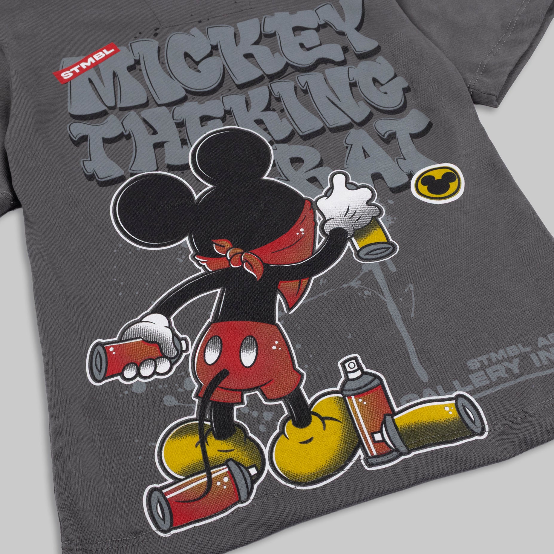 Camiseta niño R. Mickey