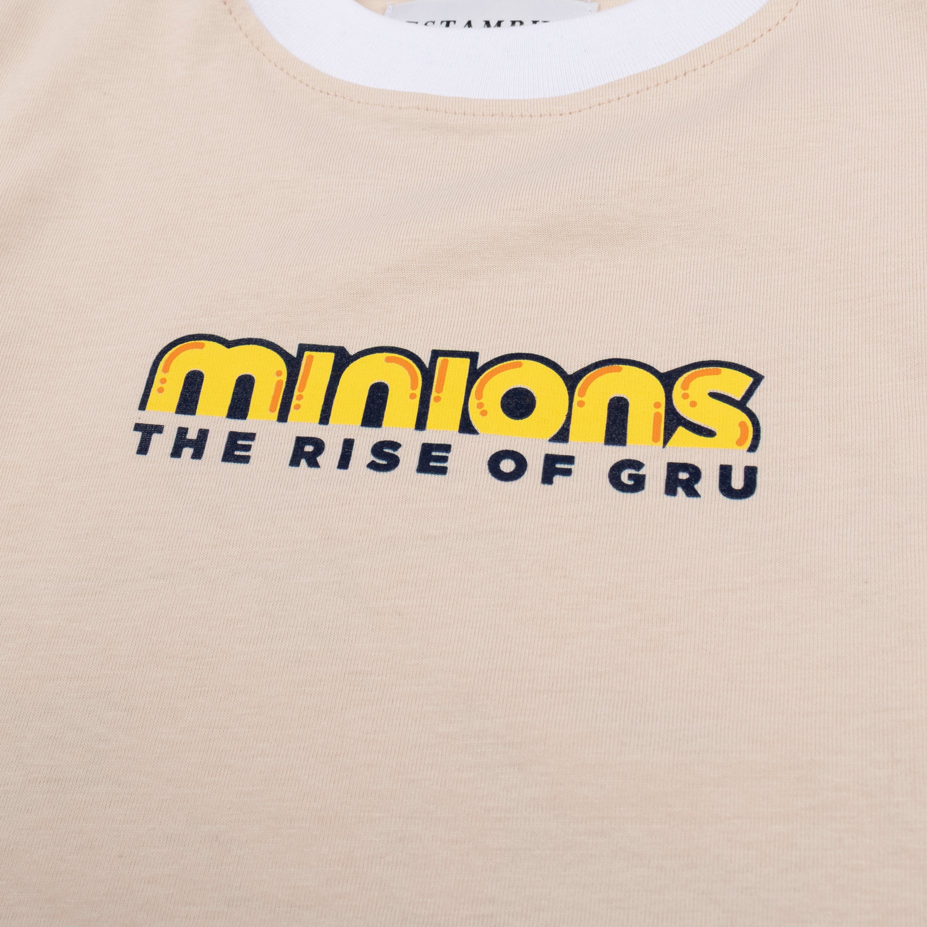 Camiseta niño R. Minions