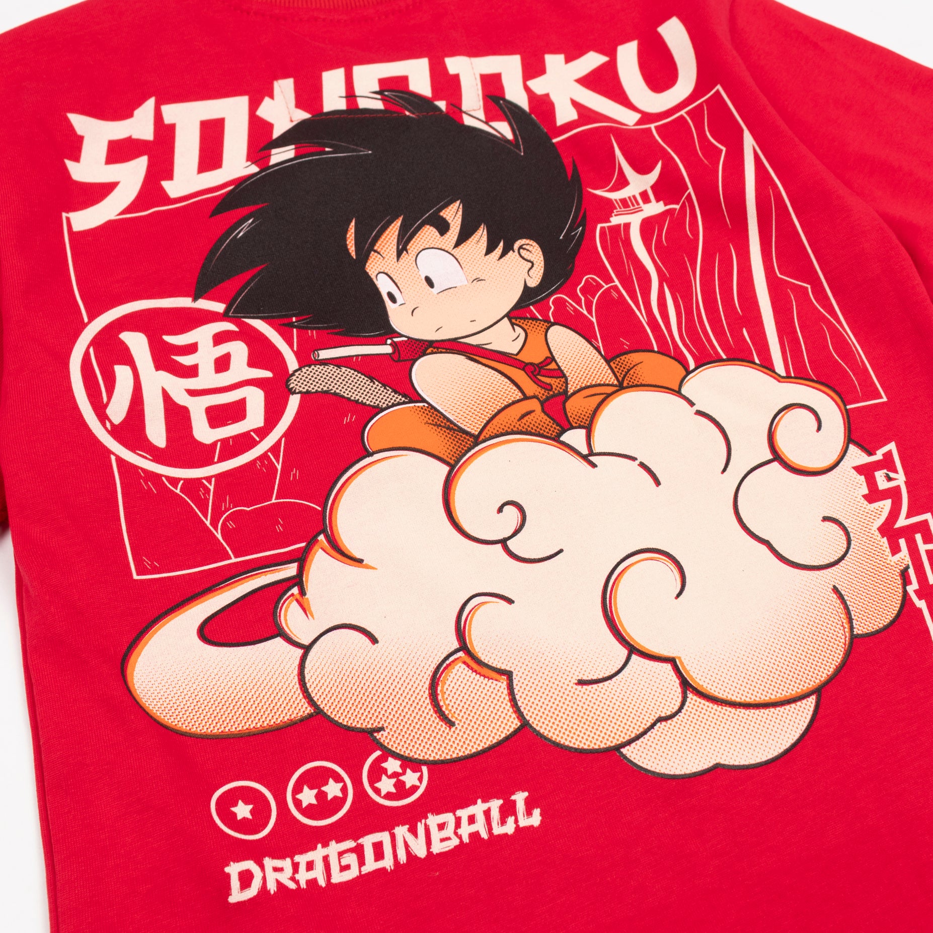 Camiseta niño R. Goku