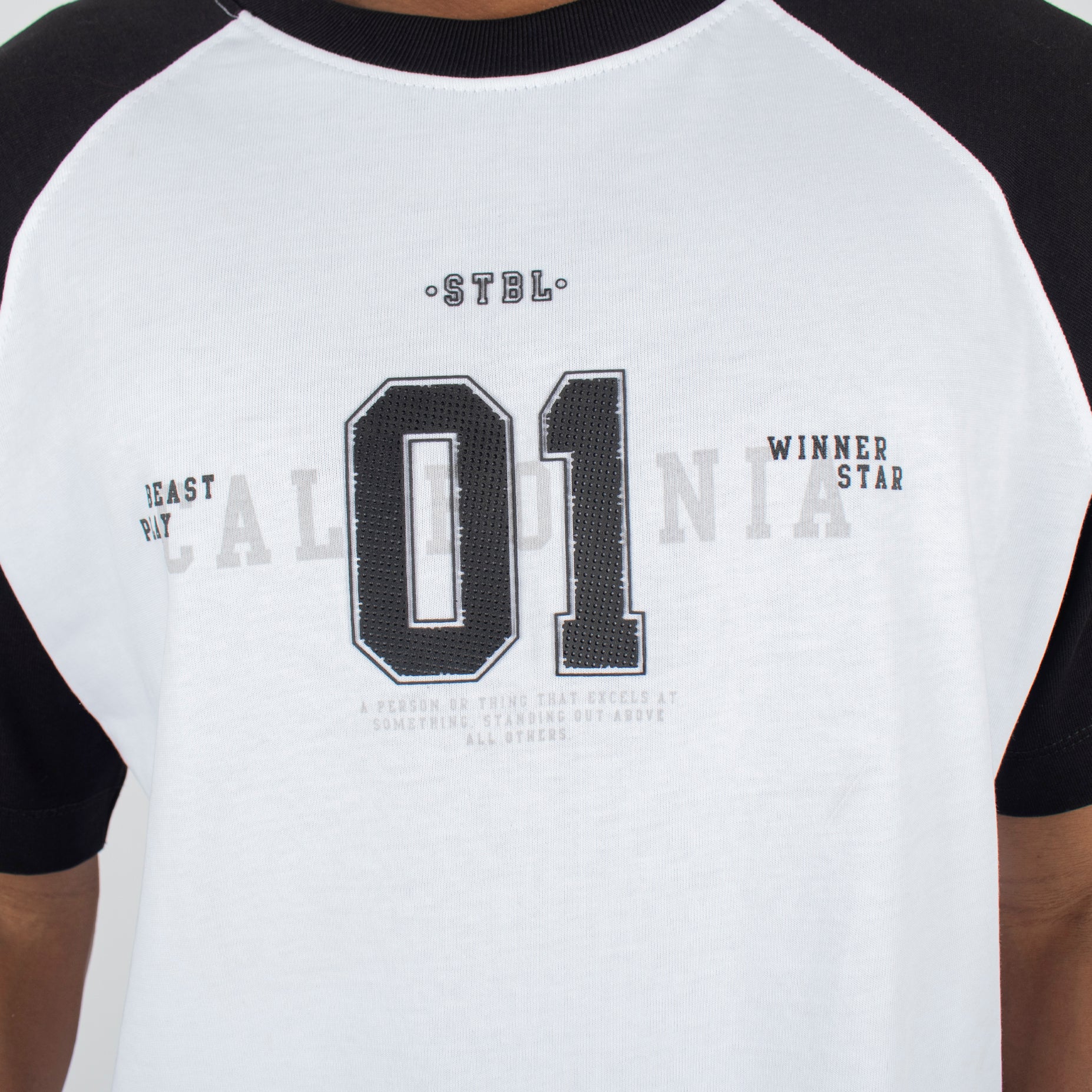 Camiseta hombre estampada 1