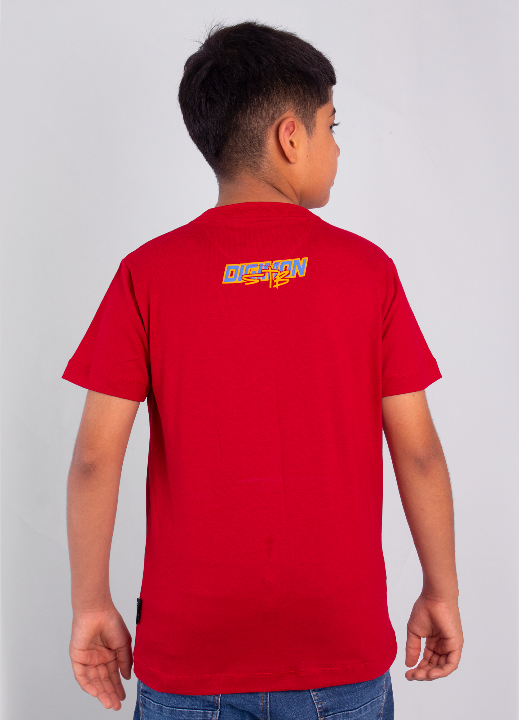 Camiseta niño agumon stb