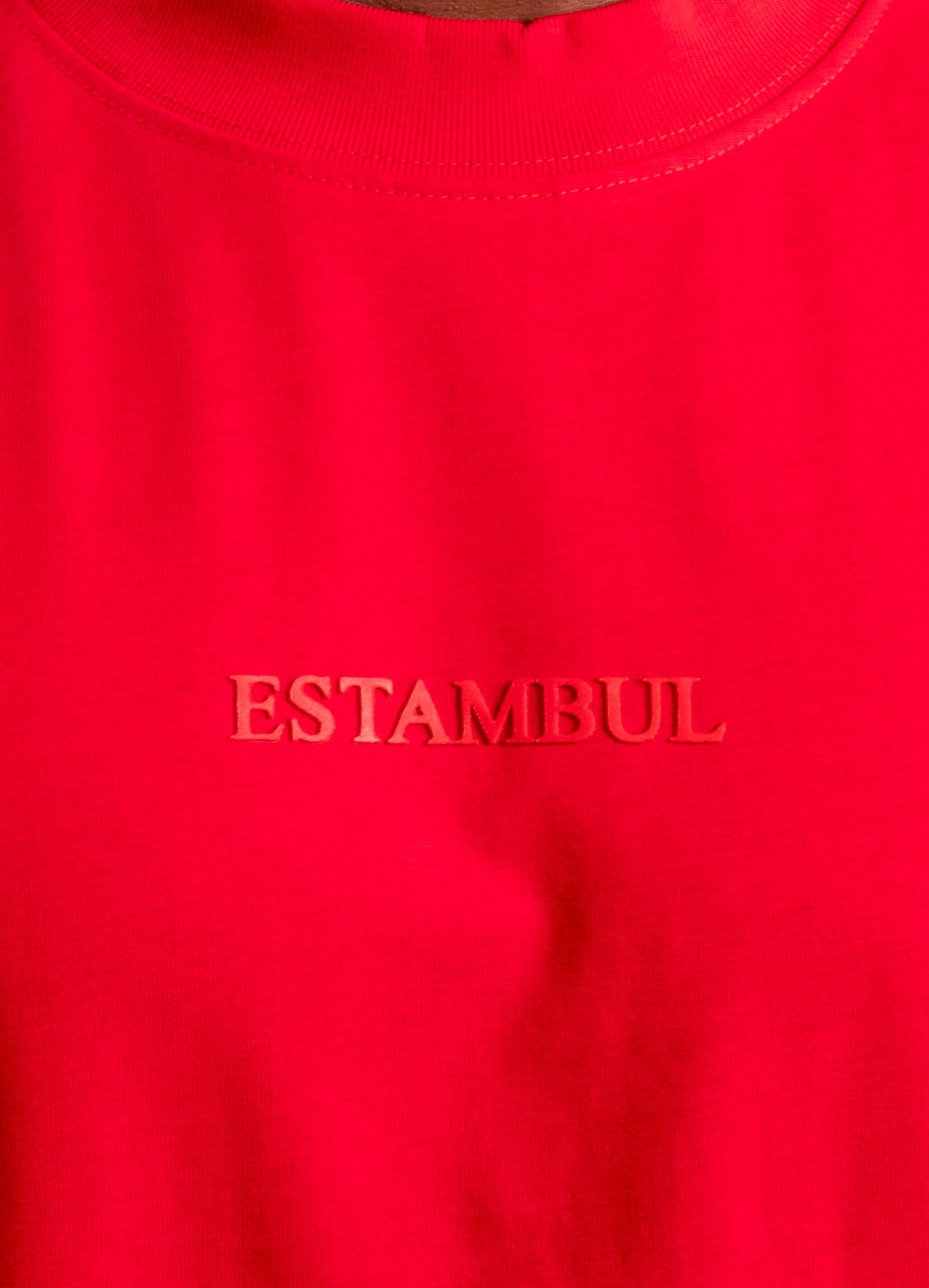 Camiseta hombre basica Regular