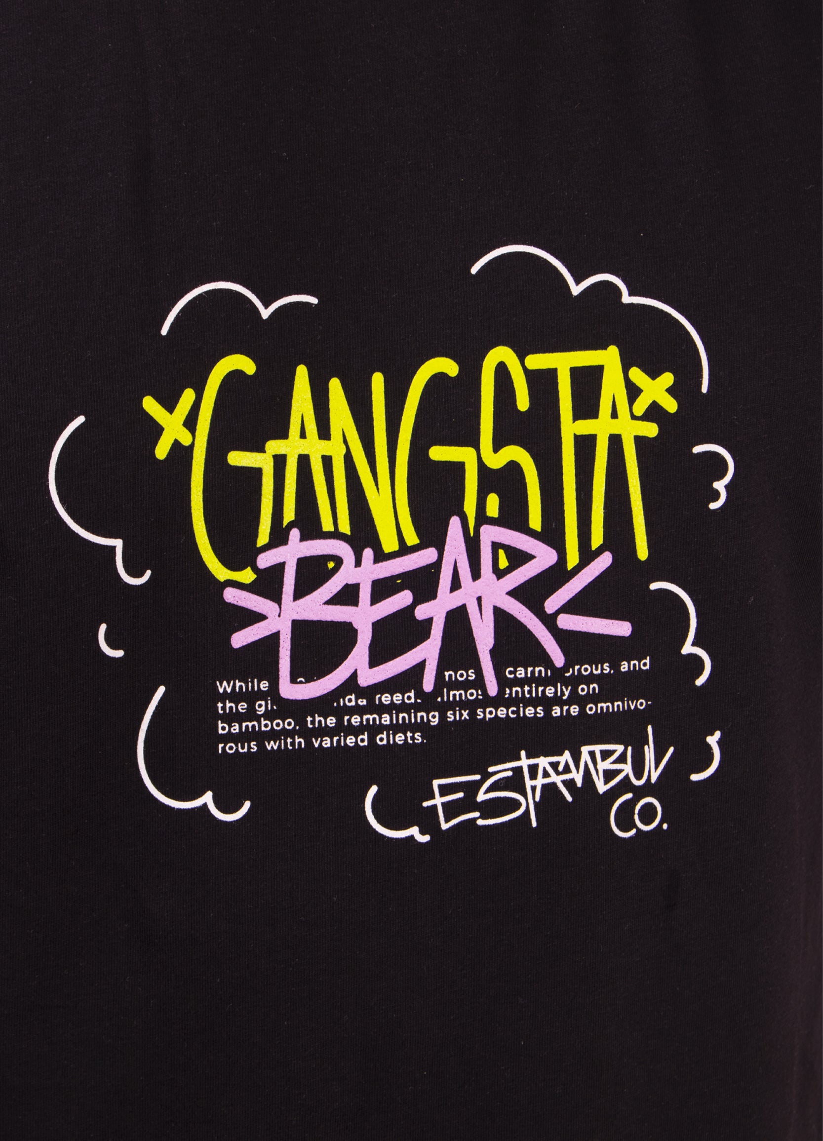 Camiseta hombre Bear