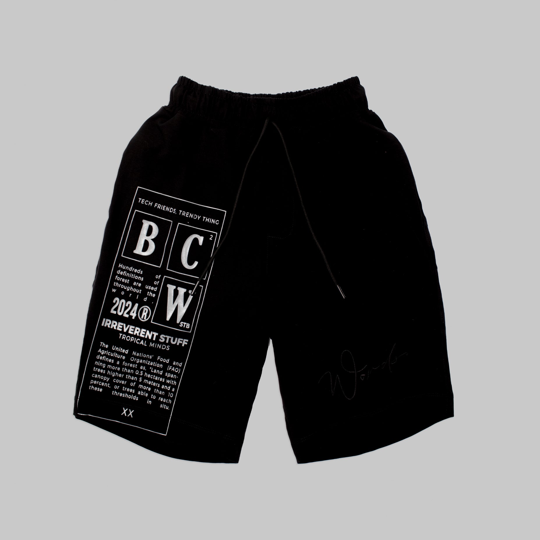 Conjunto hombre bordado BCW