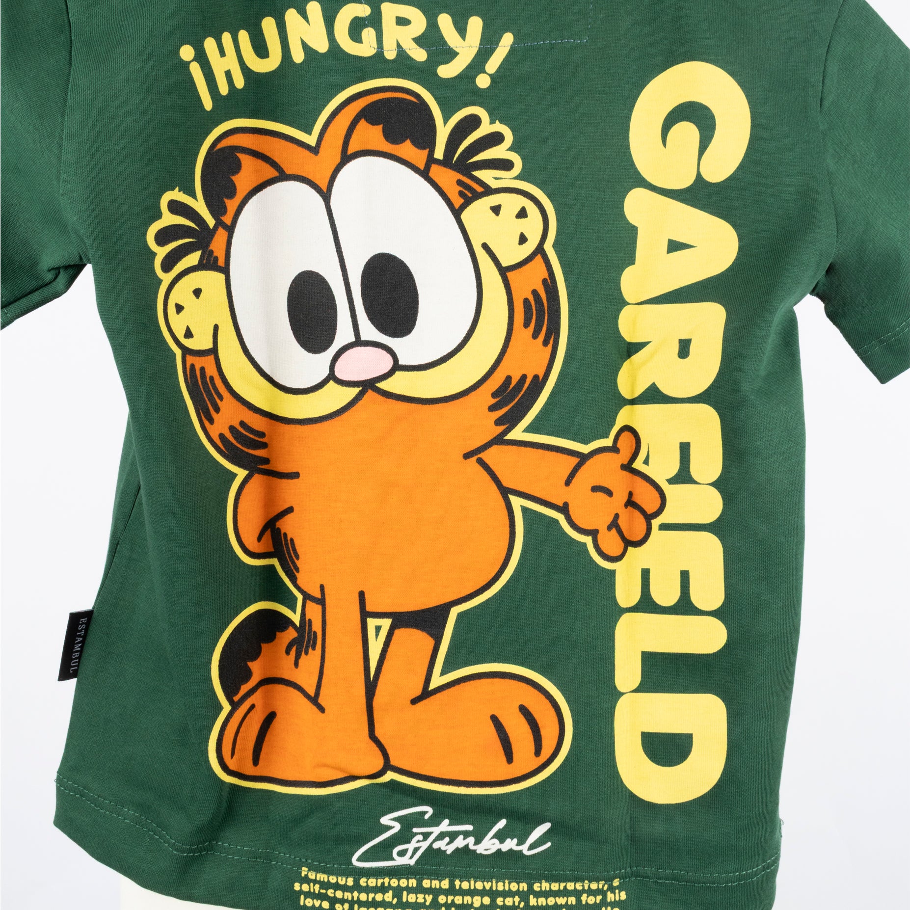 Conjunto baby Garfield