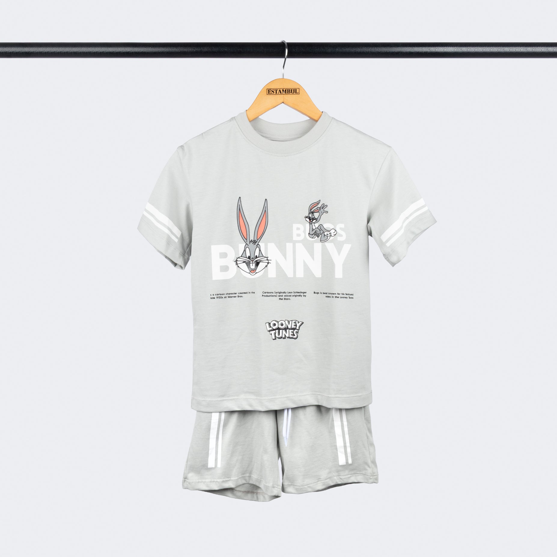 Conjunto  niño Bugs