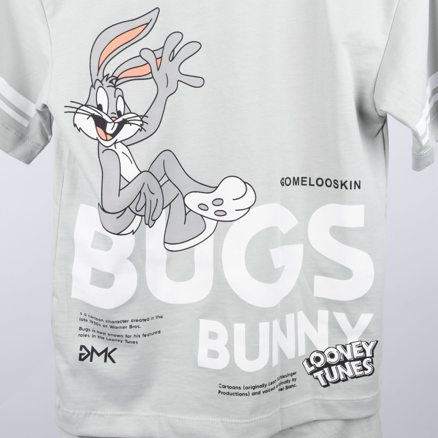 Conjunto  niño Bugs