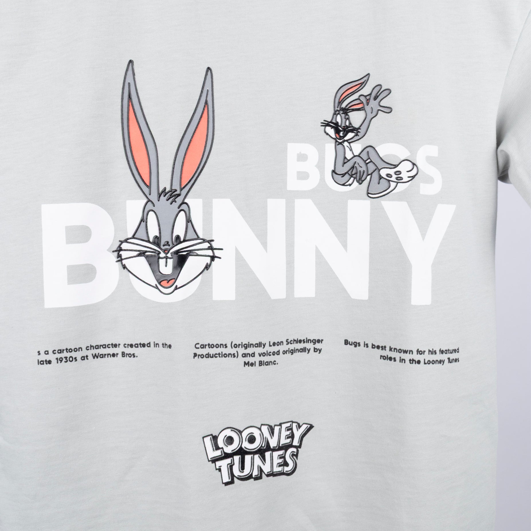 Conjunto  niño Bugs