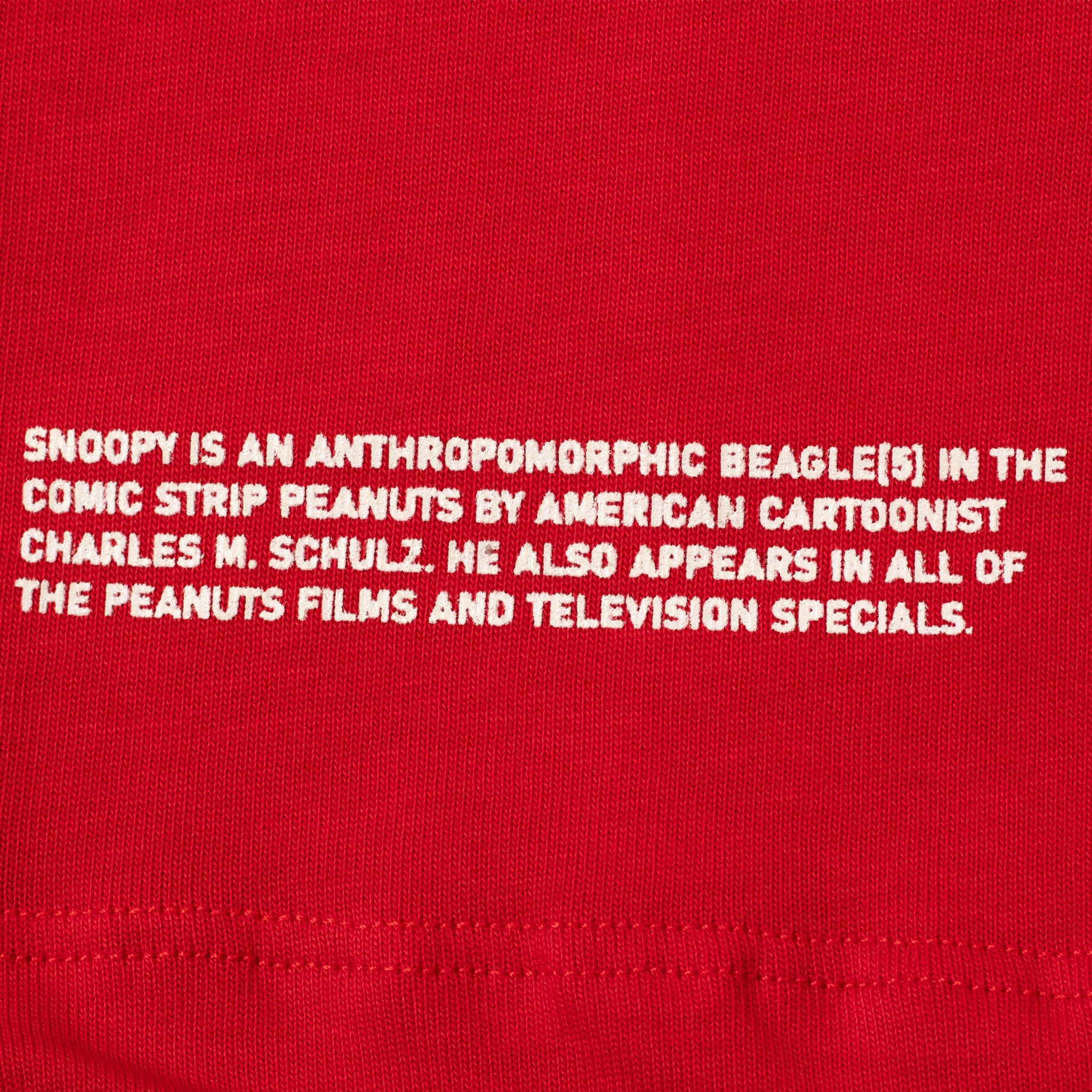 Conjunto niño snoopy