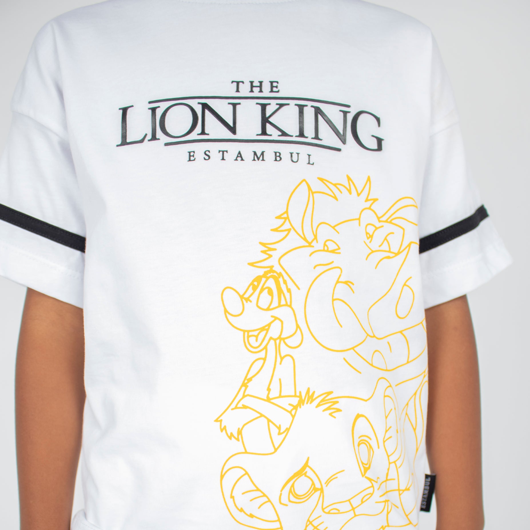 Conjunto niño Lion King