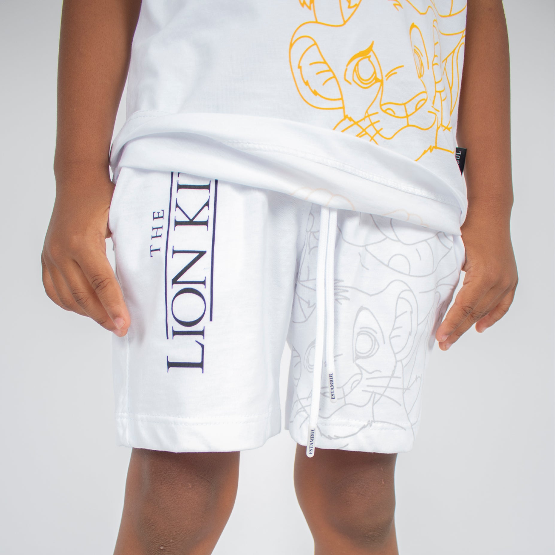 Conjunto niño Lion King