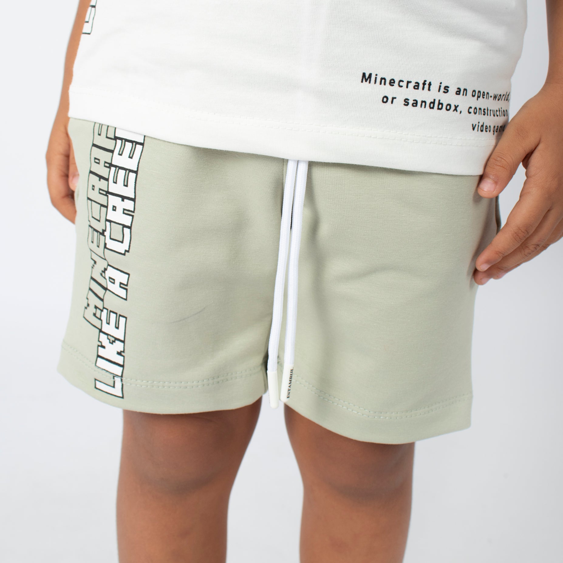 Conjunto niño Minecraft