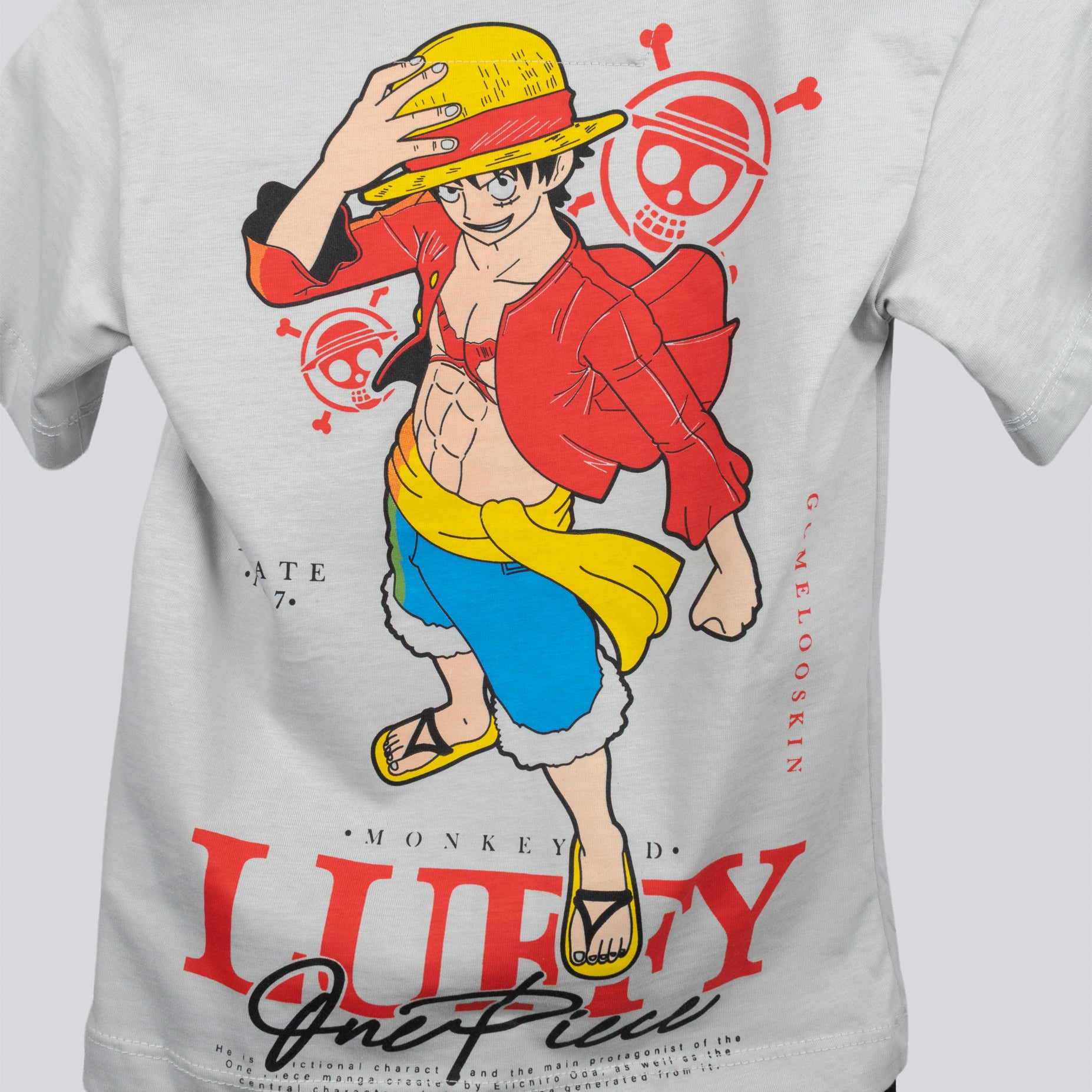 Conjunto niño Luffy