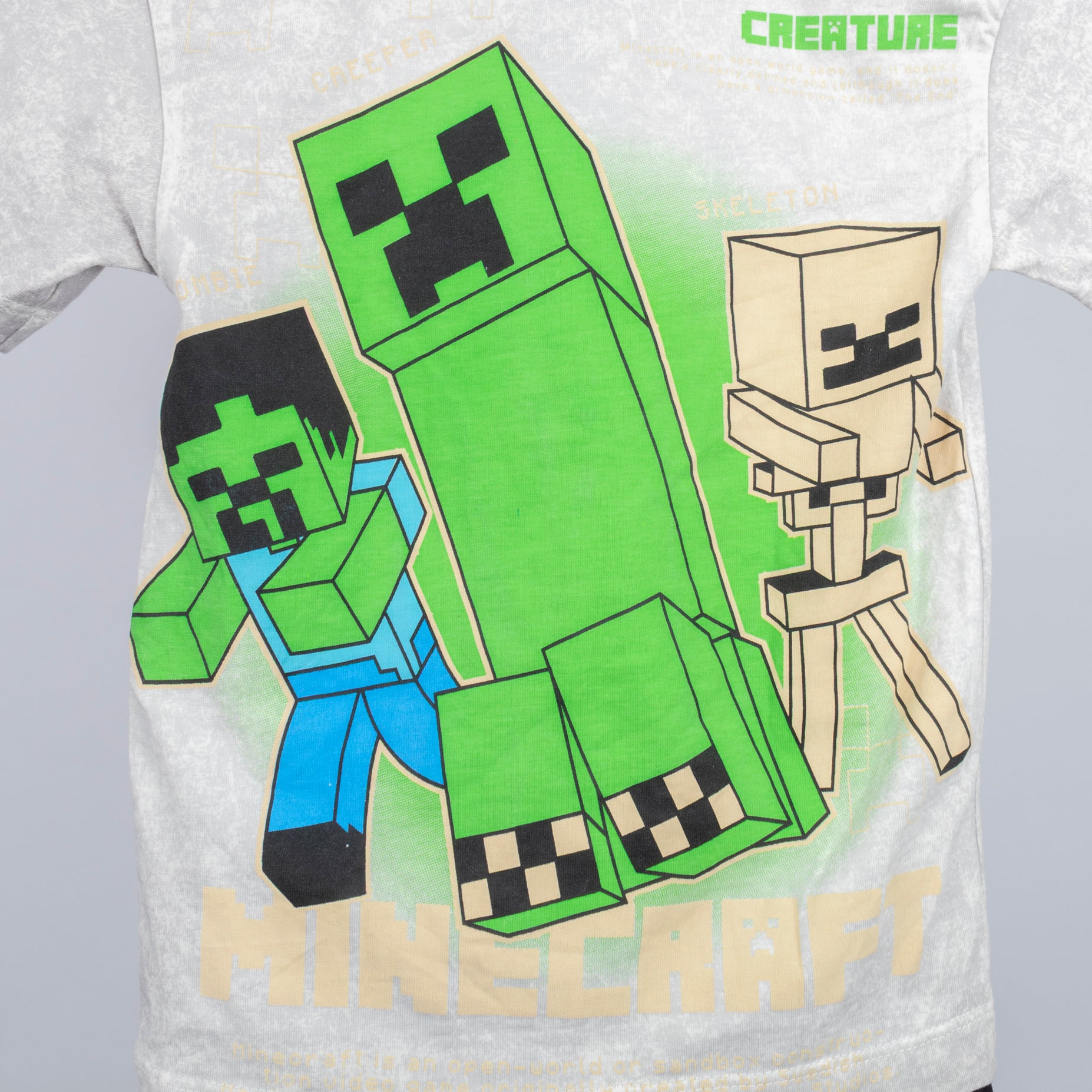 Conjunto niño Minecraft