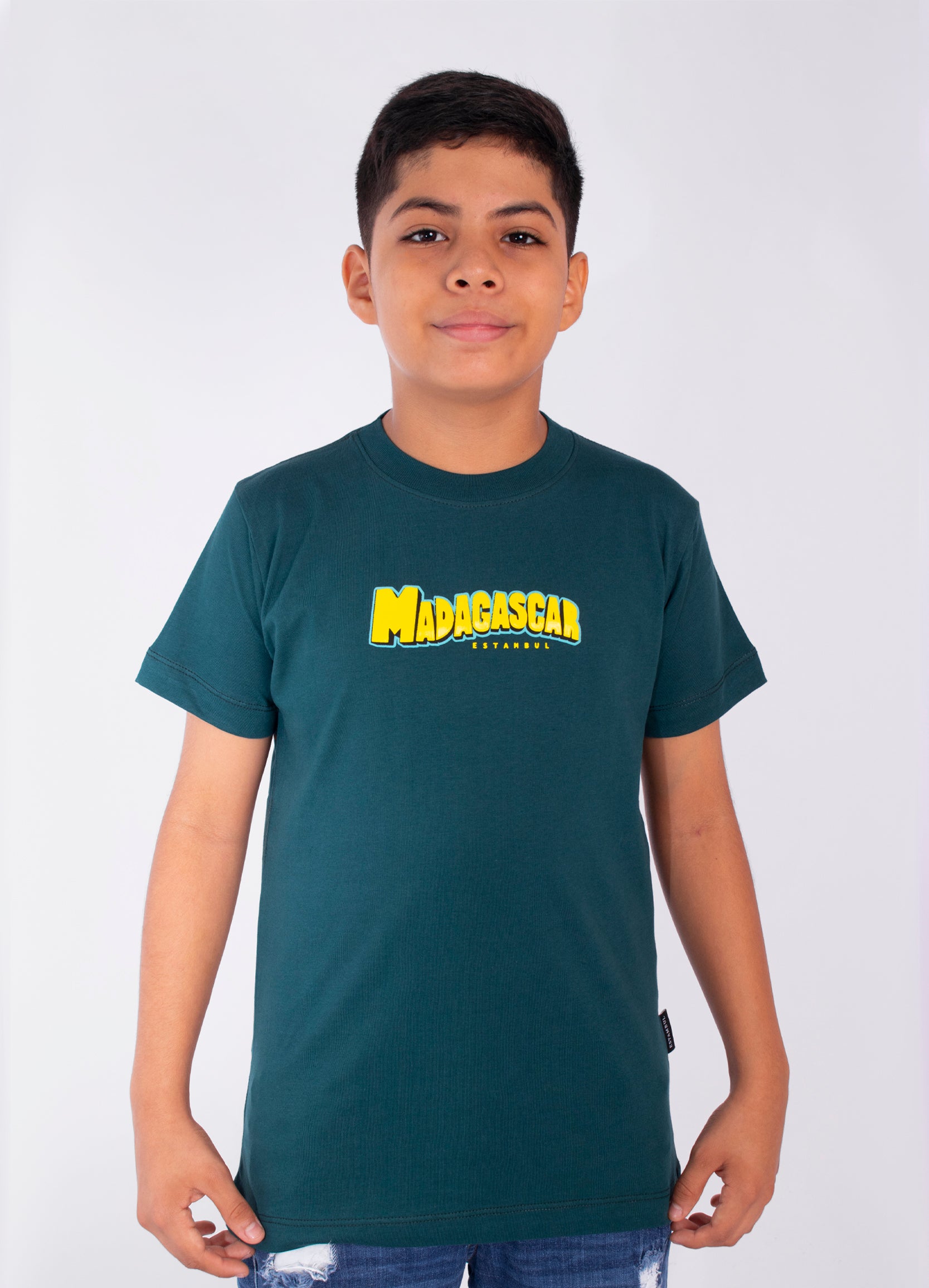 Camiseta niño Madagascar