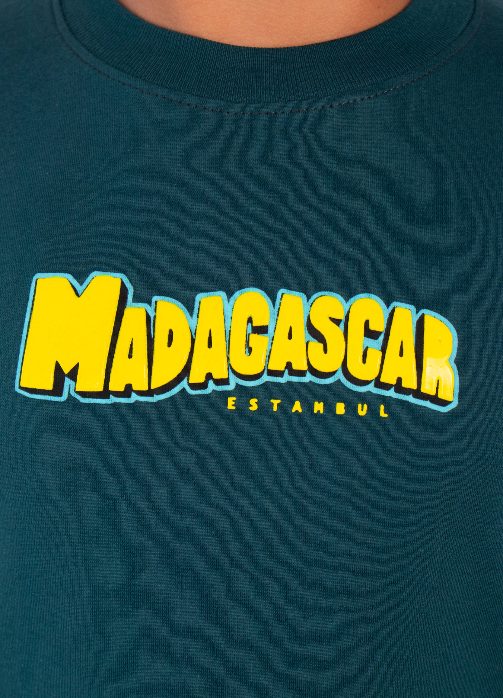 Camiseta niño Madagascar