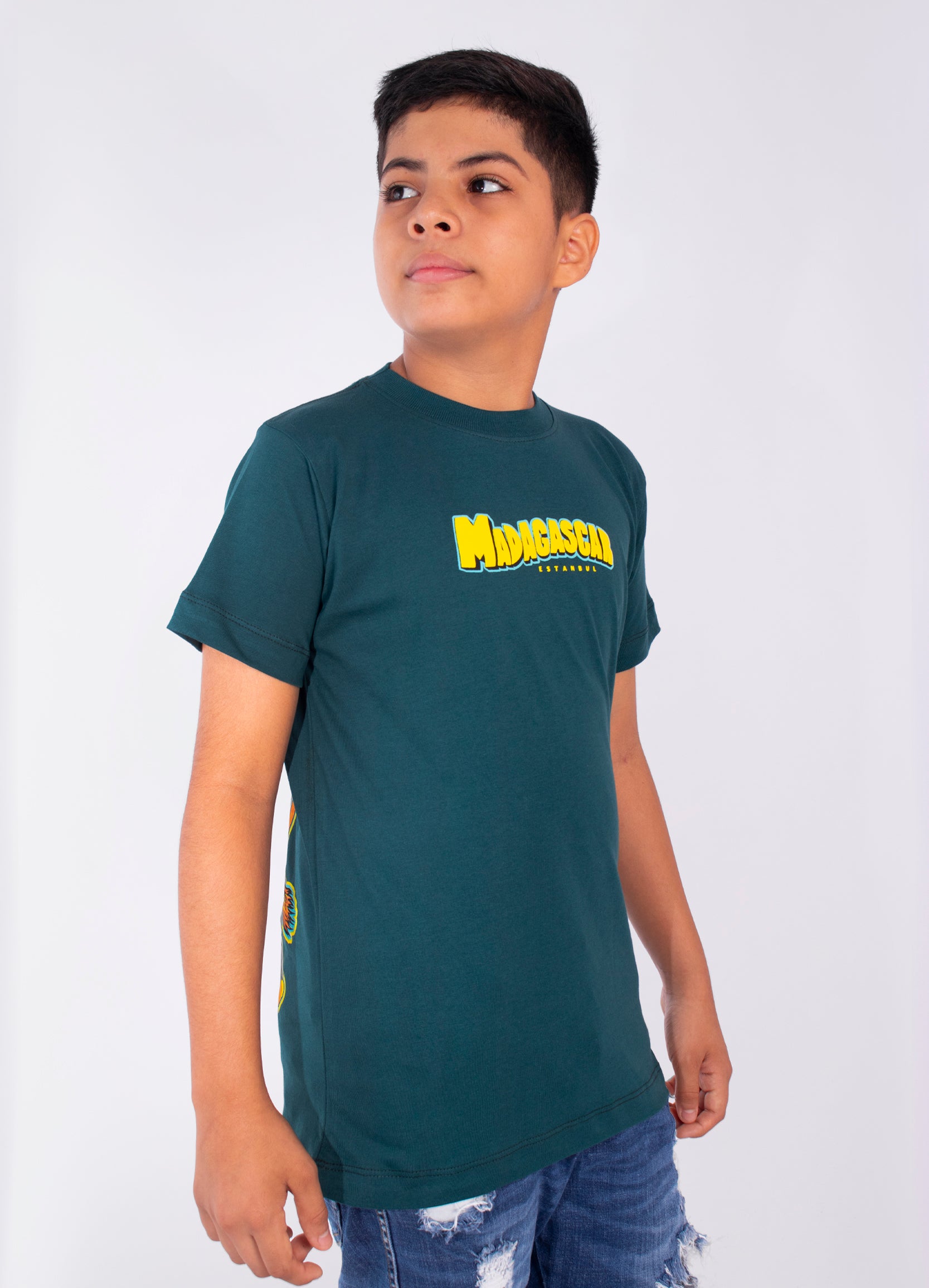 Camiseta niño Madagascar