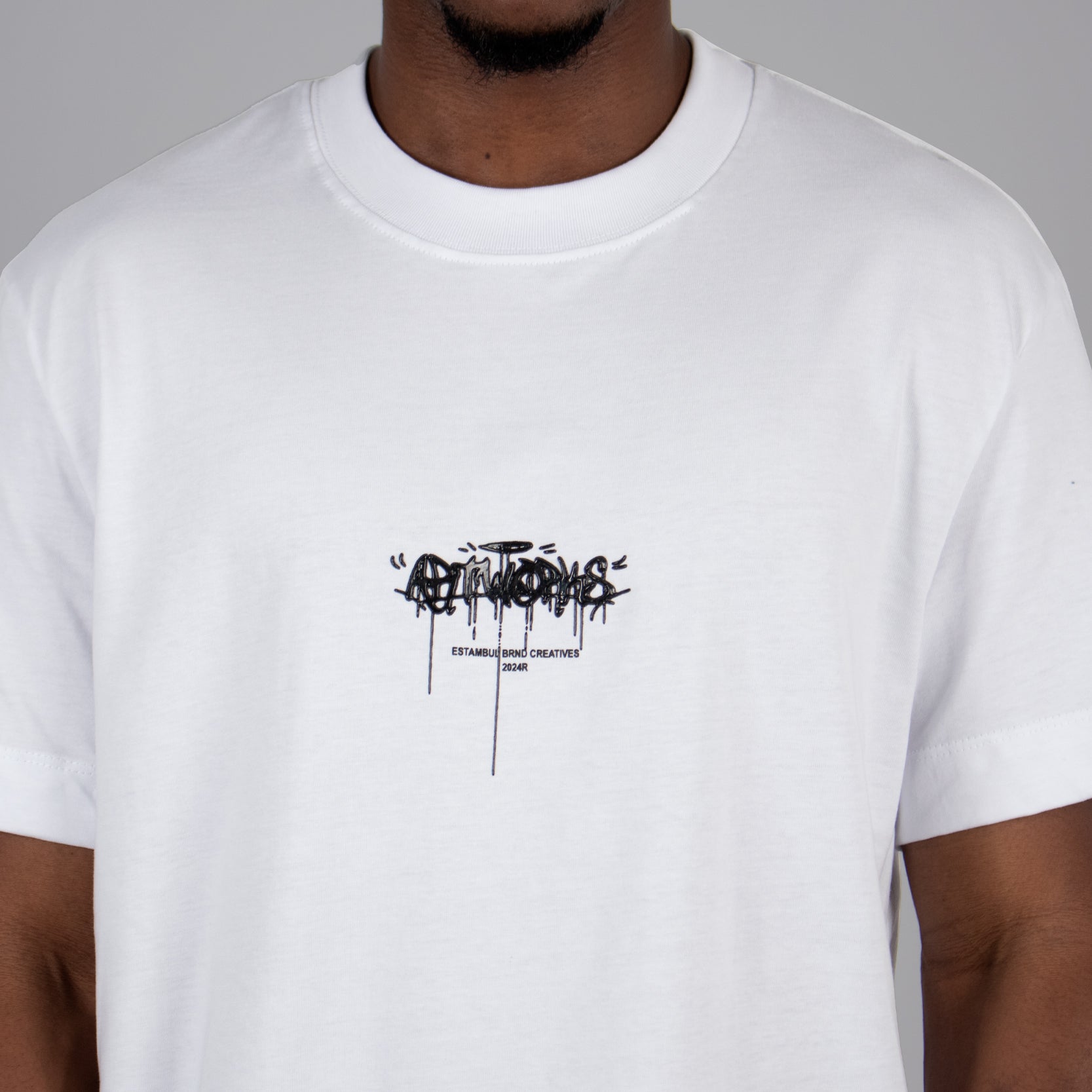 Camiseta hombre regular stwoys