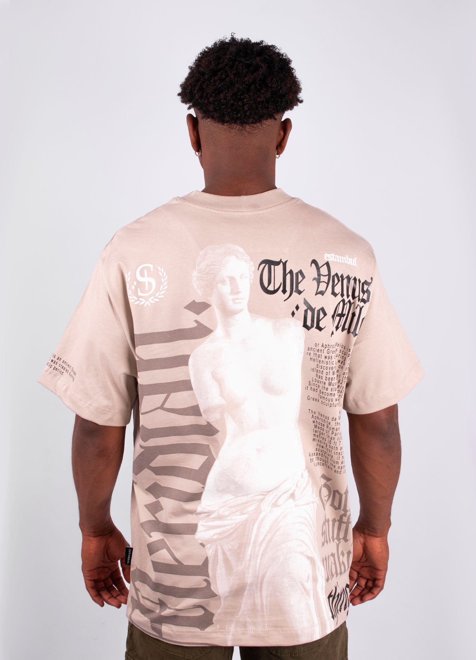 Camiseta Hombre Regular Venus Statua