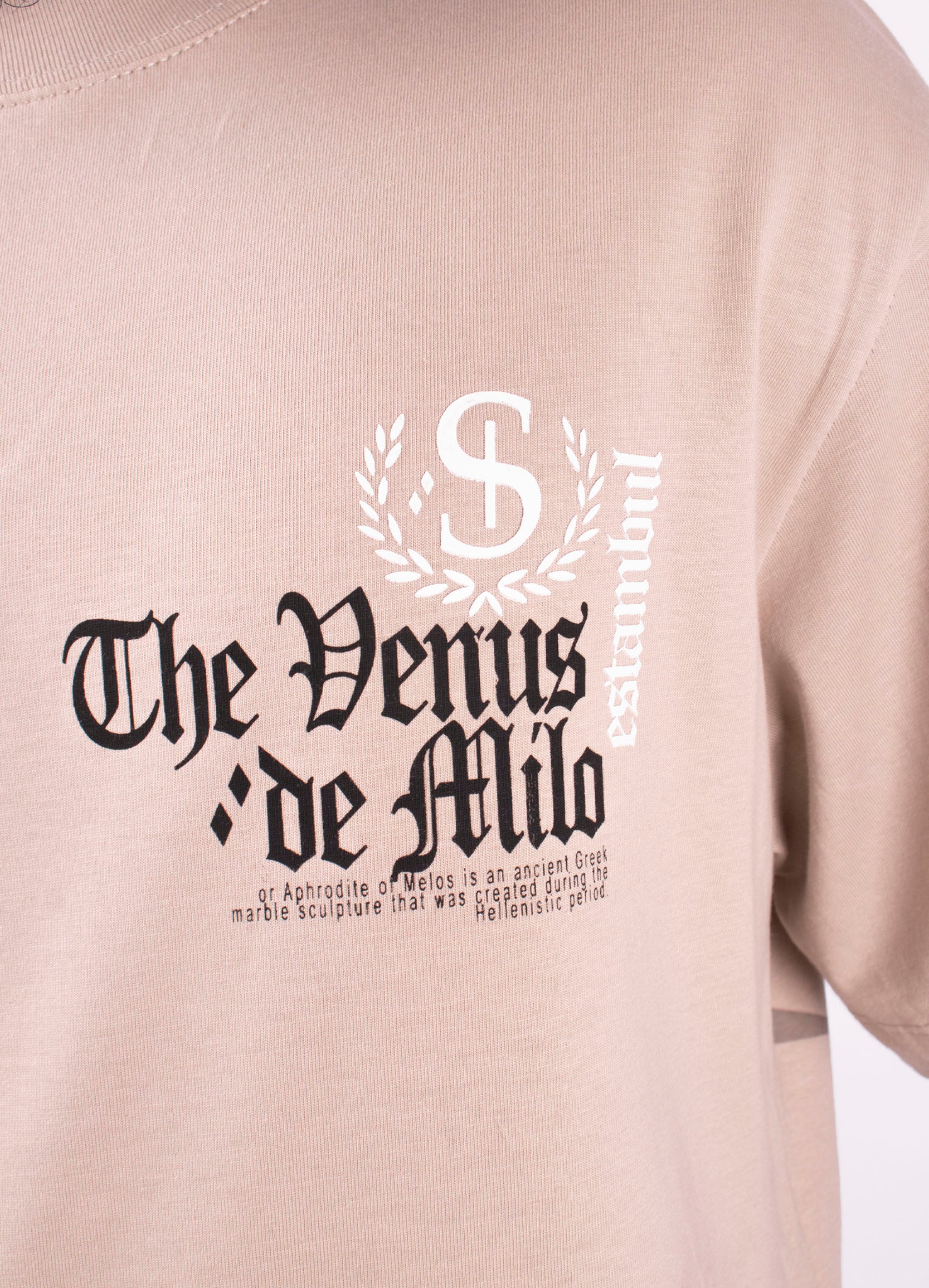Camiseta Hombre Regular Venus Statua