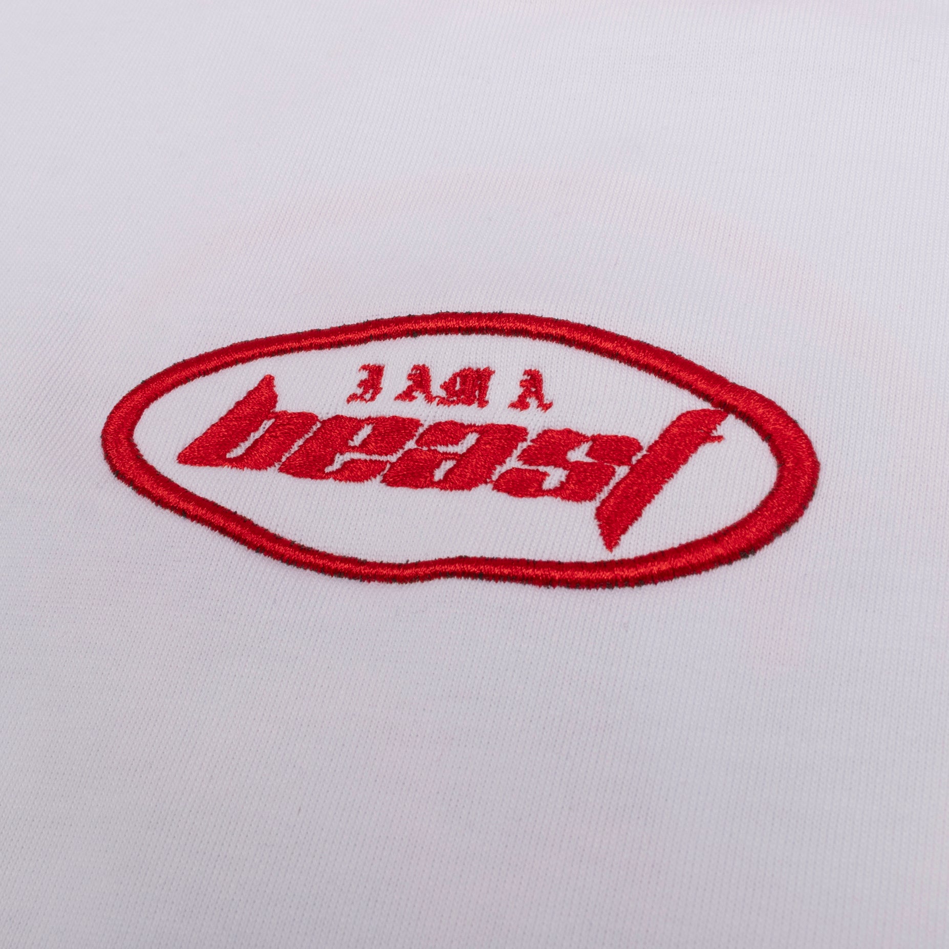 Camiseta niño R. Reason- NO SE PUEDE VENDER ESTA MANCHANDO