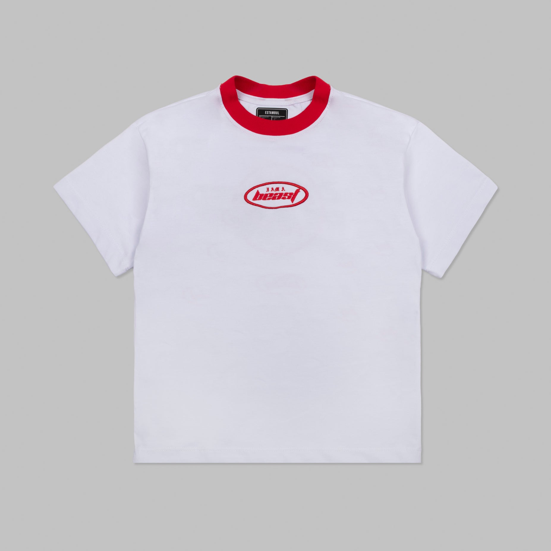 Camiseta niño R. Reason- NO SE PUEDE VENDER ESTA MANCHANDO