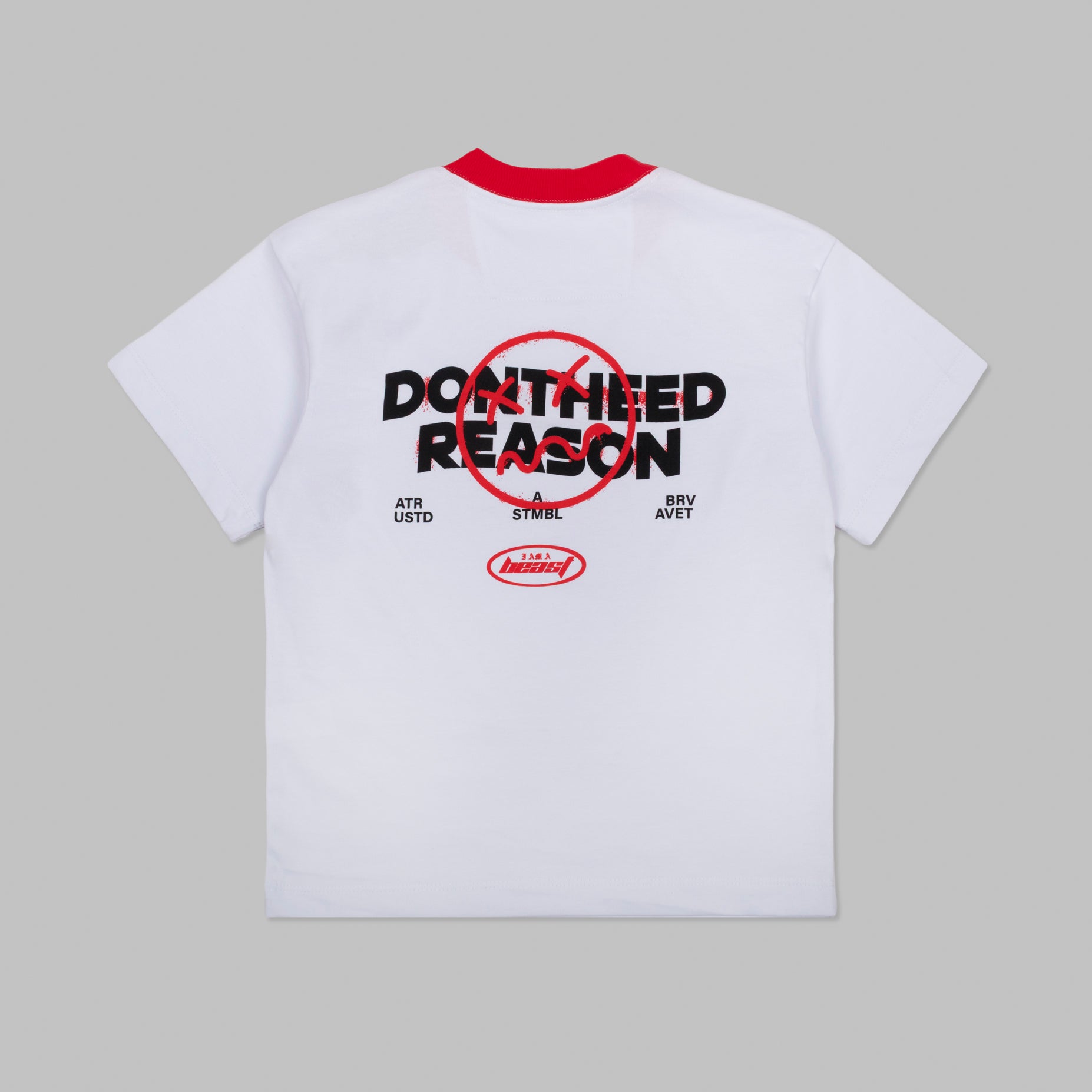 Camiseta niño R. Reason- NO SE PUEDE VENDER ESTA MANCHANDO