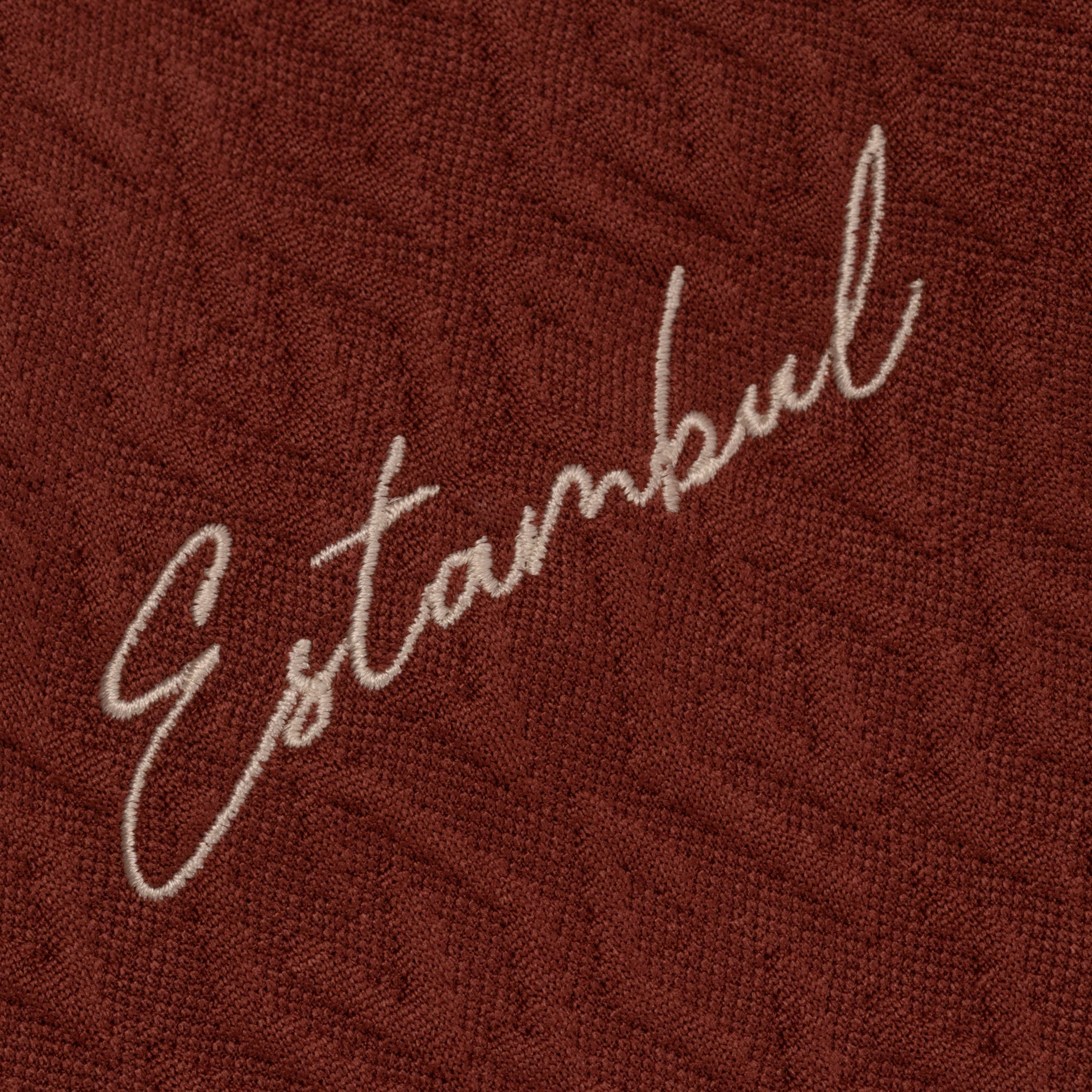 Sudadera hombre bordada cafe